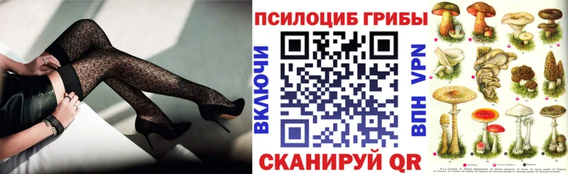 купить наркотик  Нарткала  Псилоцибиновые грибы GOLDEN TEACHER 